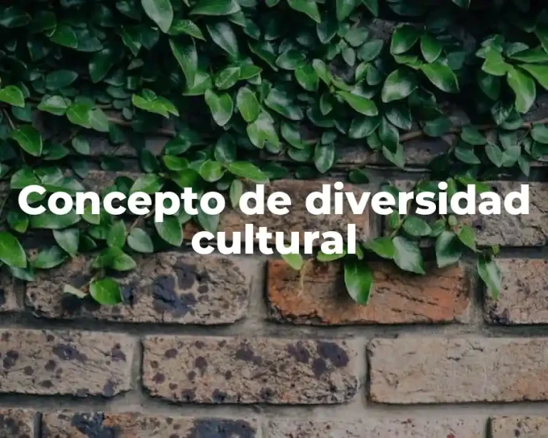 Concepto de diversidad cultural