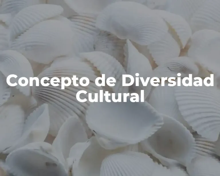 Concepto de Diversidad Cultural