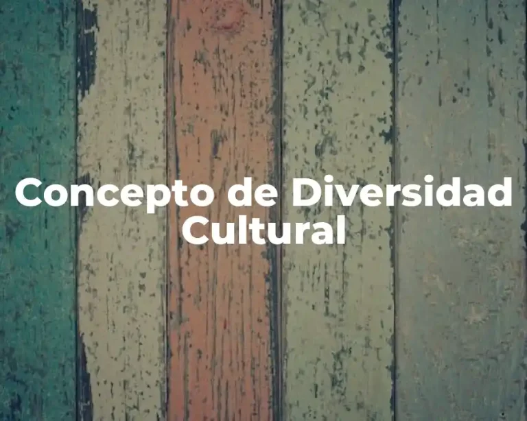 Concepto de Diversidad Cultural