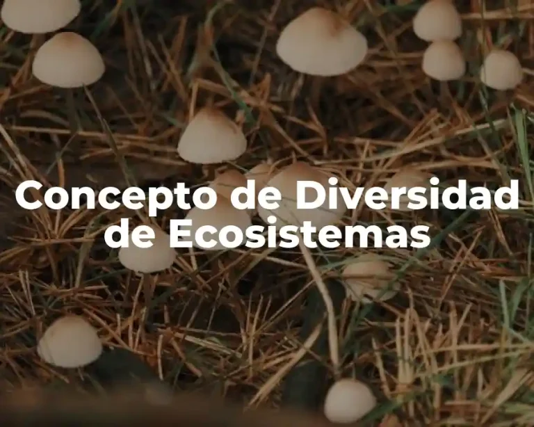 Concepto de Diversidad de Ecosistemas