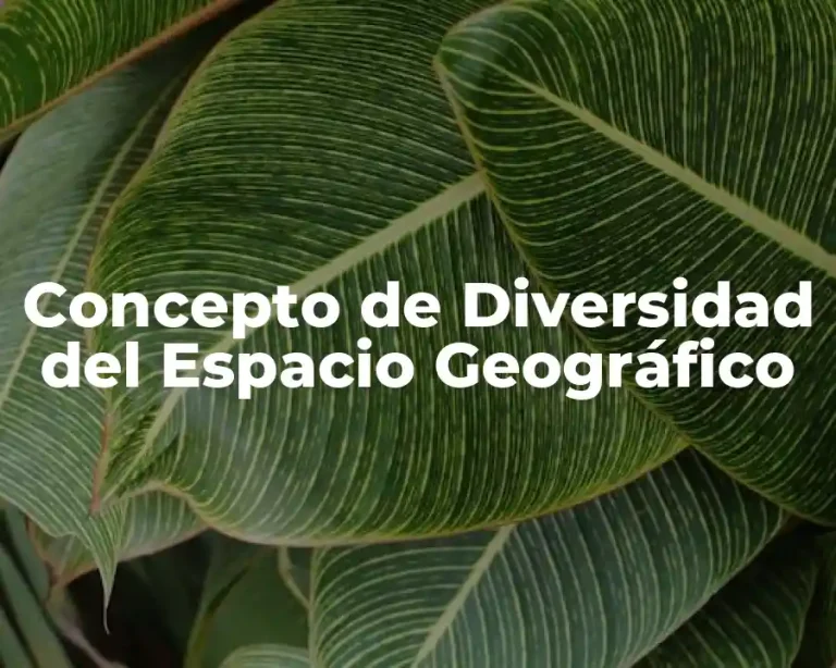 Concepto de Diversidad del Espacio Geográfico