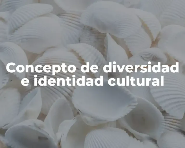 Concepto de diversidad e identidad cultural