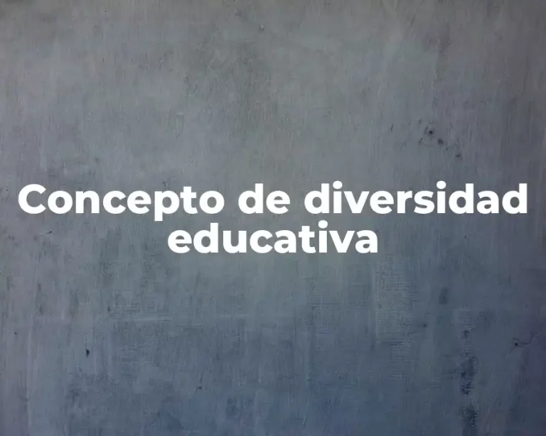 Concepto de diversidad educativa