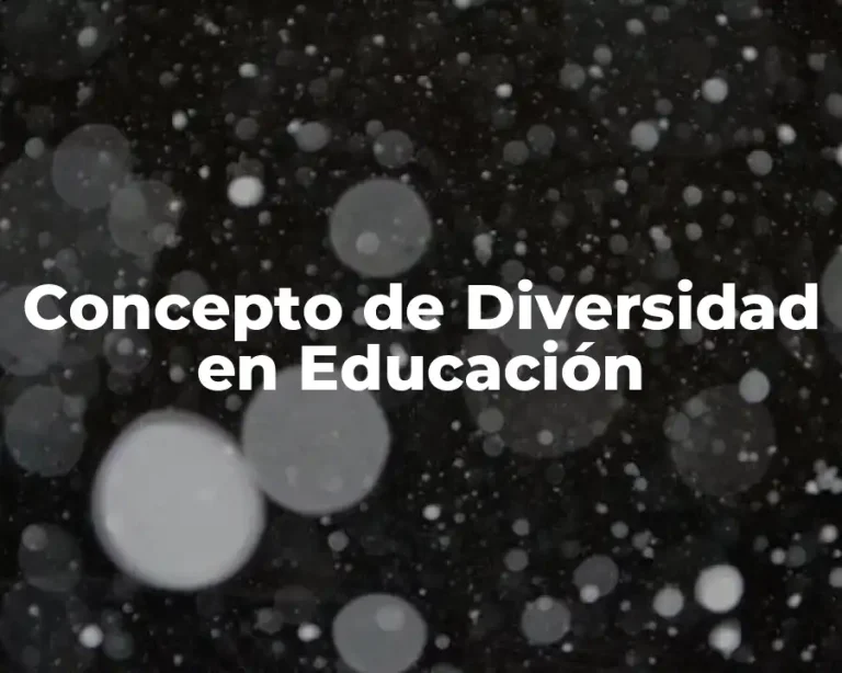 Concepto de Diversidad en Educación