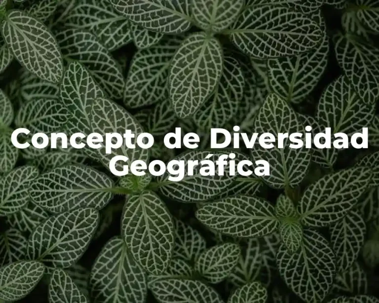 Concepto de Diversidad Geográfica