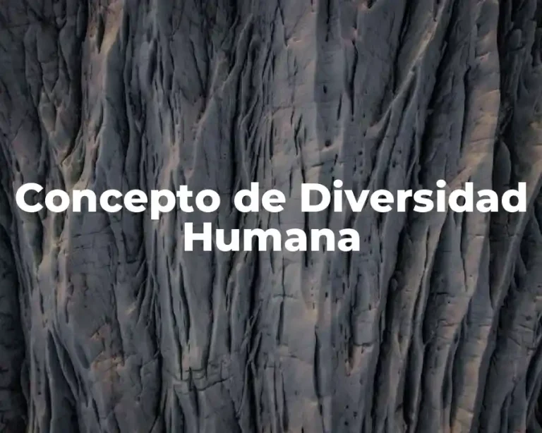Concepto de Diversidad Humana