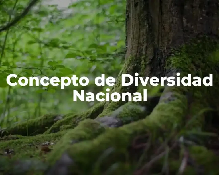 Concepto de Diversidad Nacional