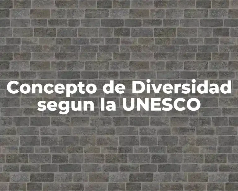 Concepto de Diversidad segun la UNESCO