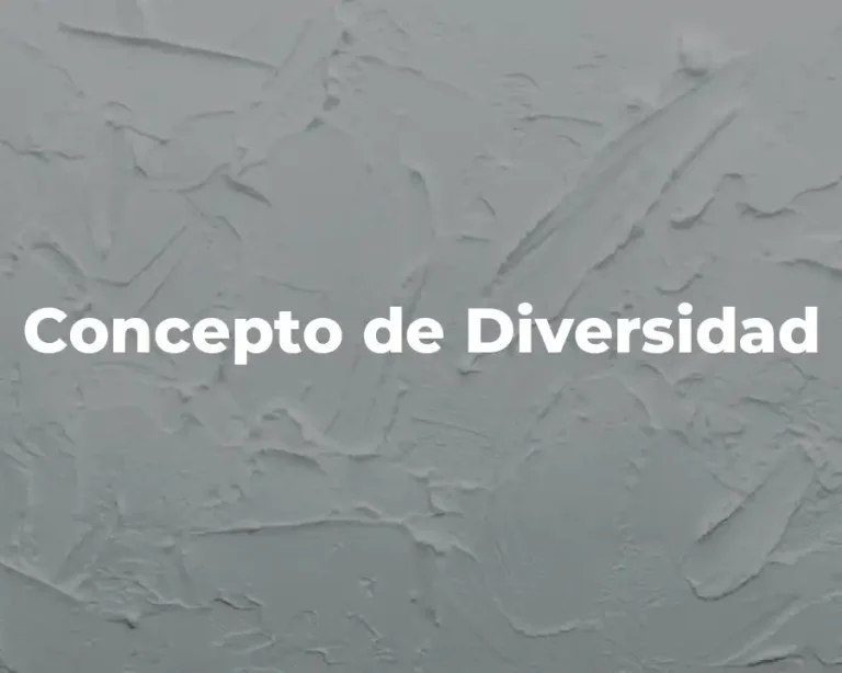 Concepto de Diversidad