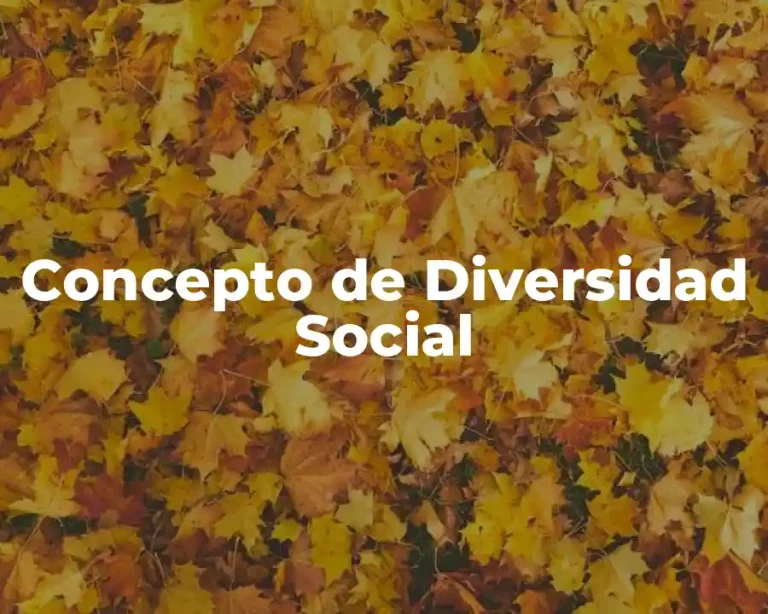 Concepto de Diversidad Social