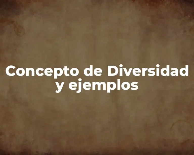 Concepto de Diversidad y ejemplos