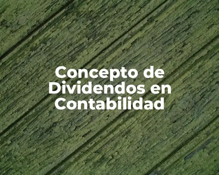 Concepto de Dividendos en Contabilidad