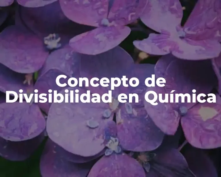 Concepto de Divisibilidad en Química