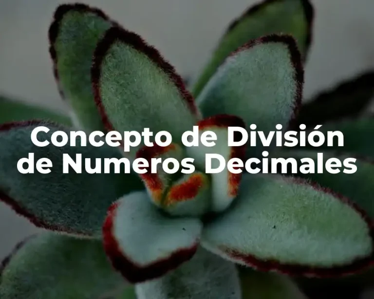 Concepto de División de Numeros Decimales