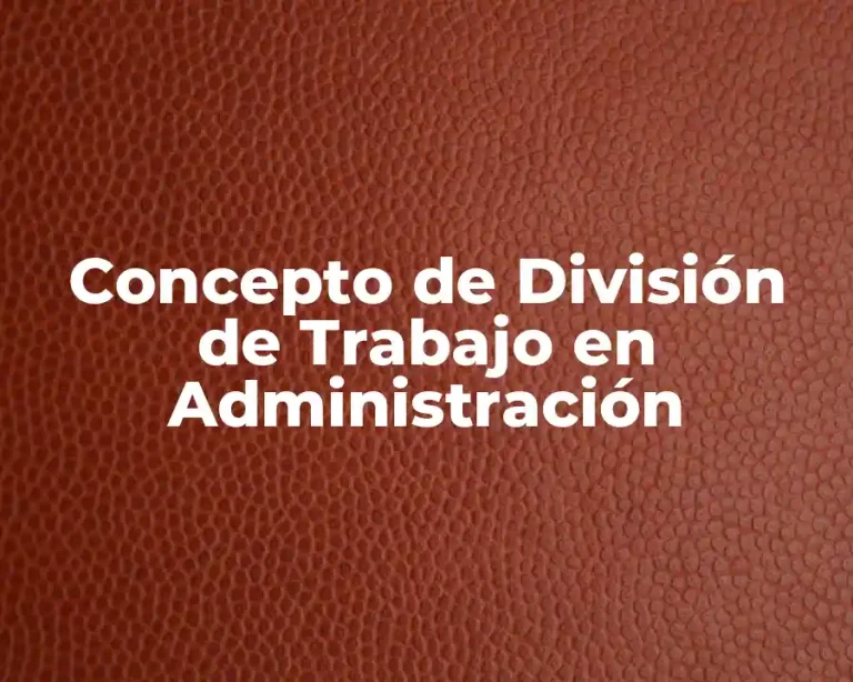 Concepto de División de Trabajo en Administración