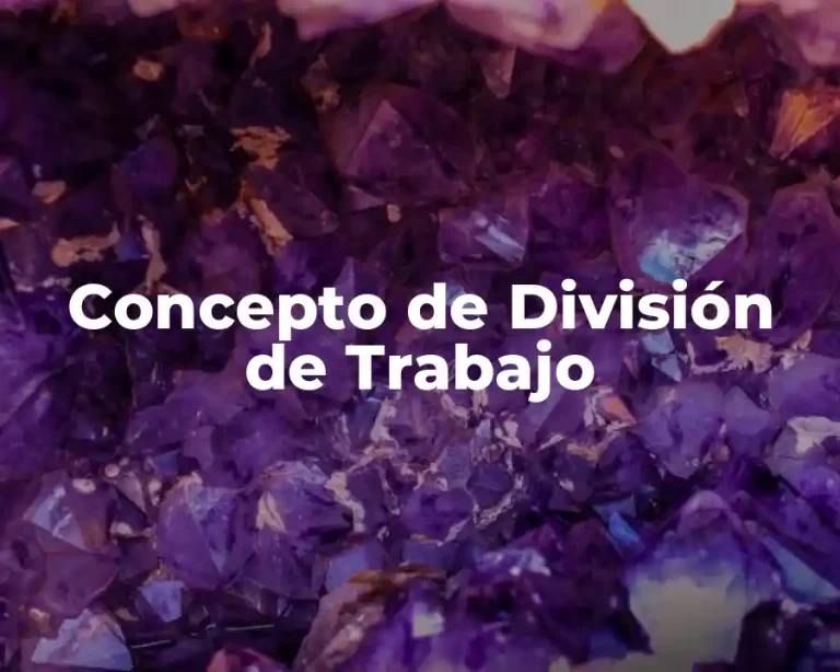Concepto de División de Trabajo
