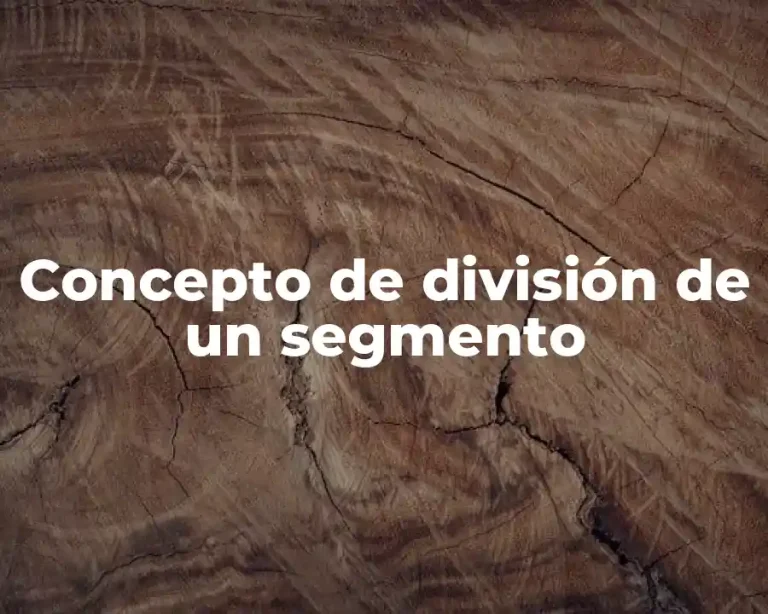Concepto de división de un segmento