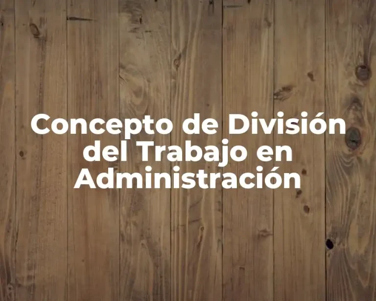 Concepto de División del Trabajo en Administración