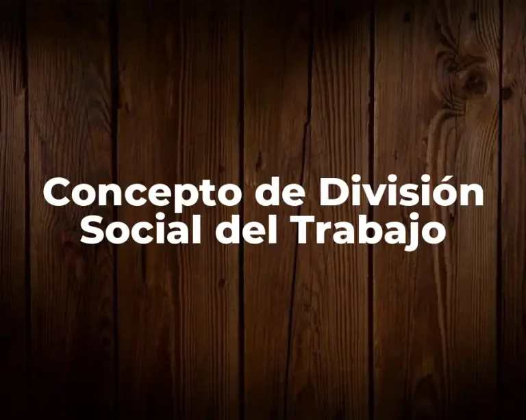 Concepto de División Social del Trabajo