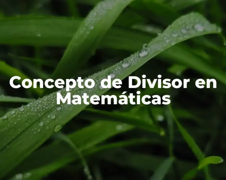 Concepto de Divisor en Matemáticas