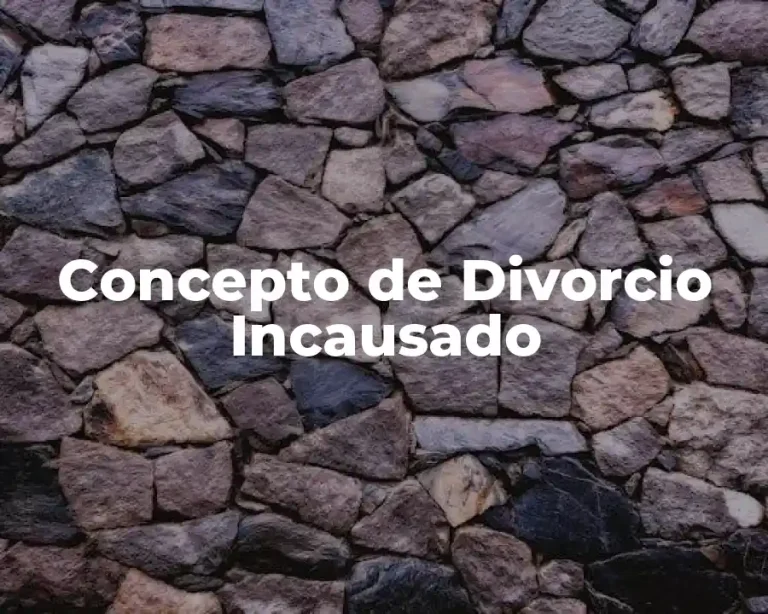 Concepto de Divorcio Incausado