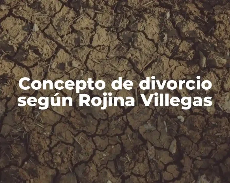 Concepto de divorcio según Rojina Villegas