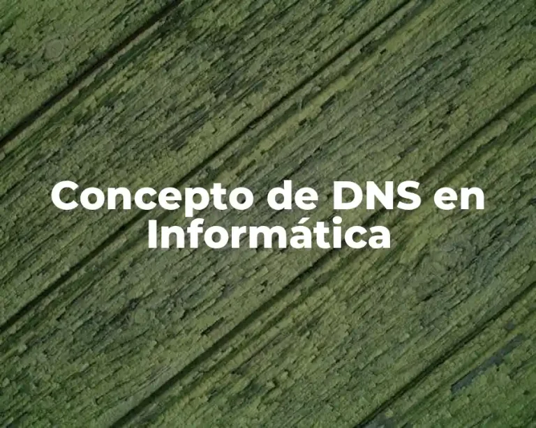 Concepto de DNS en Informática
