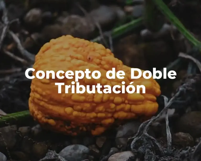 Concepto de Doble Tributación