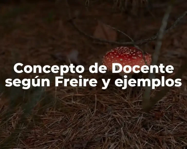 Concepto de Docente según Freire y ejemplos