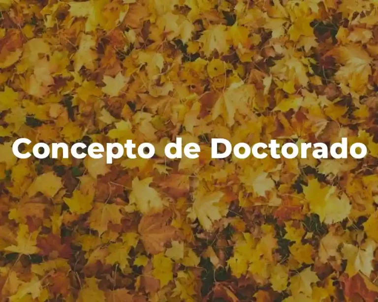 Concepto de Doctorado