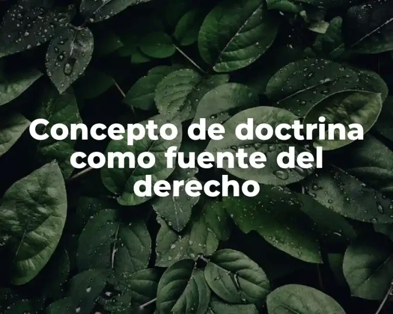 Concepto de doctrina como fuente del derecho