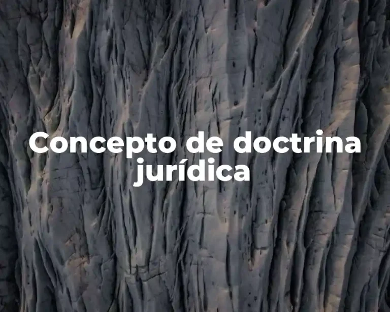 Concepto de doctrina jurídica