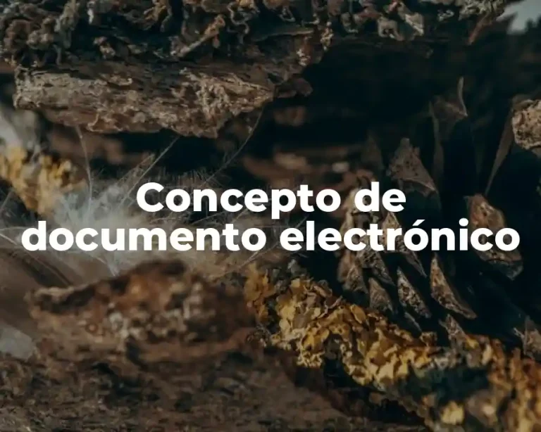 Concepto de documento electrónico