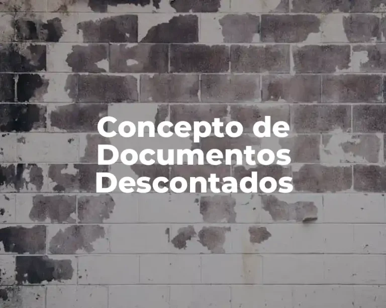 Concepto de Documentos Descontados