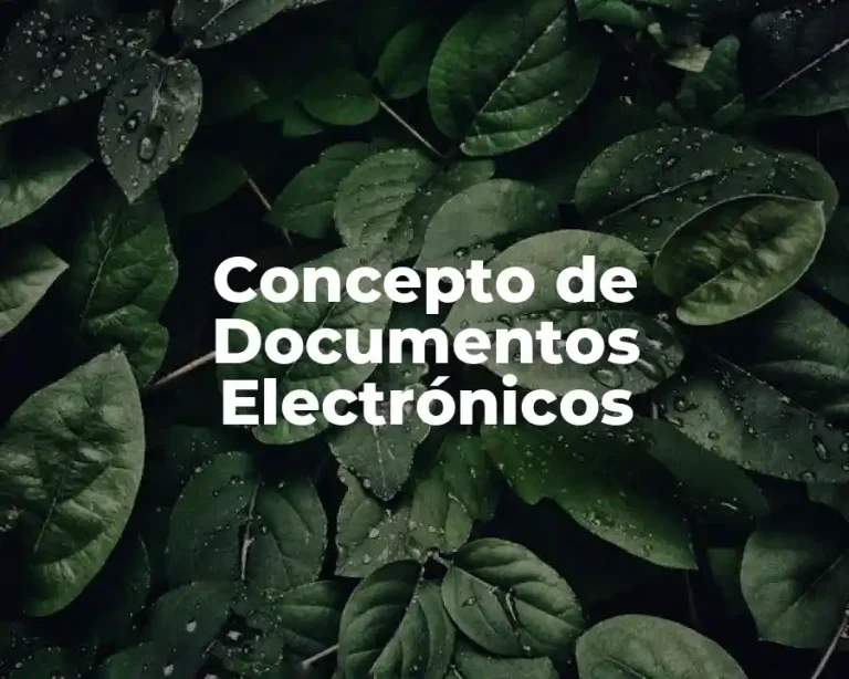 Concepto de Documentos Electrónicos