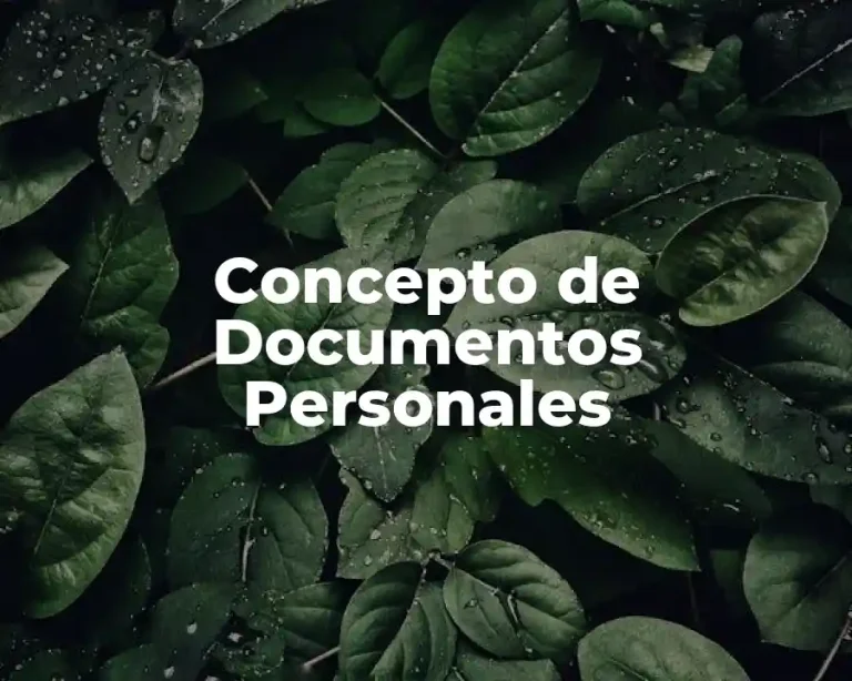 Concepto de Documentos Personales