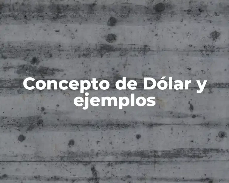 Concepto de Dólar y ejemplos