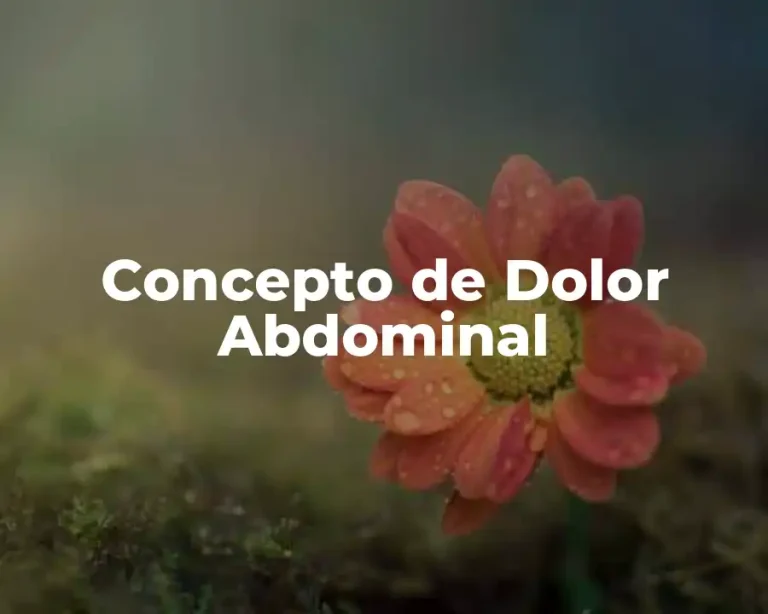 Concepto de Dolor Abdominal