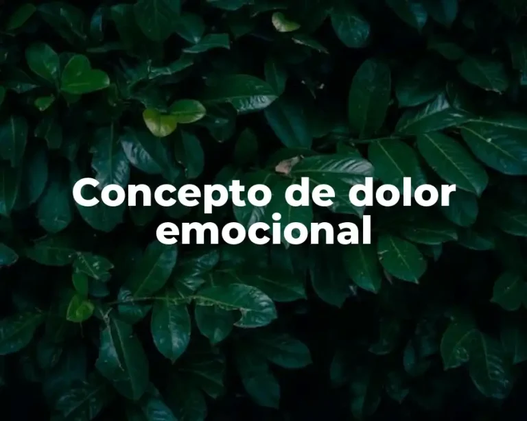 Concepto de dolor emocional