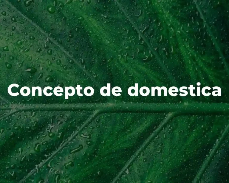 Concepto de domestica