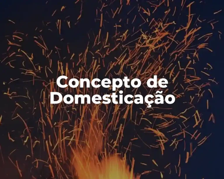 Concepto de Domesticação