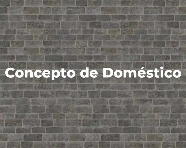 Concepto de Doméstico