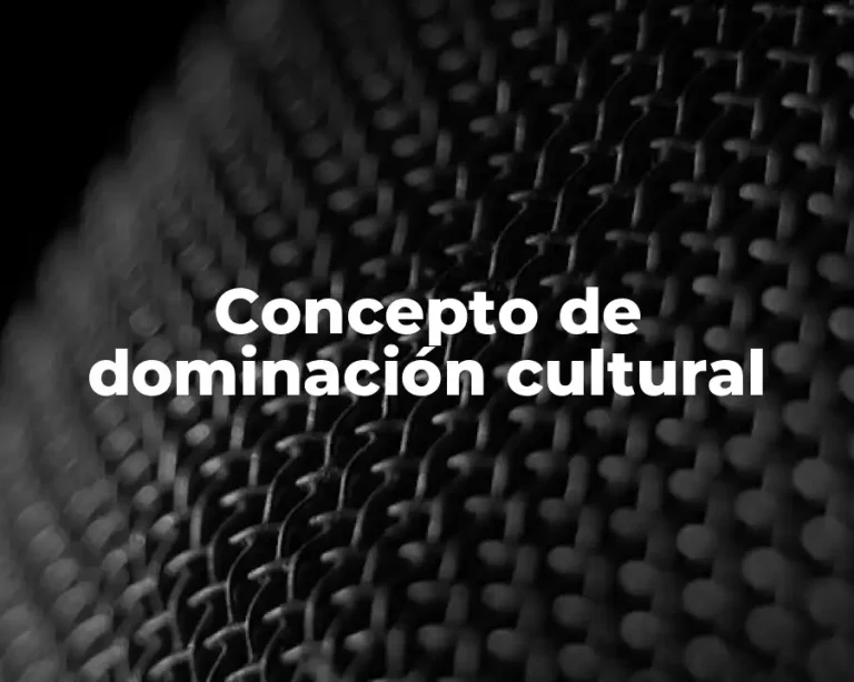 Concepto de dominación cultural