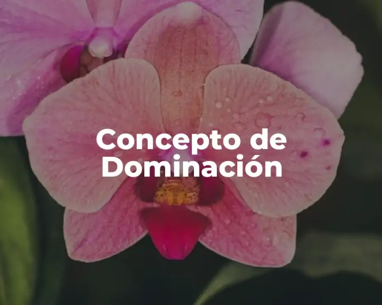 Concepto de Dominación
