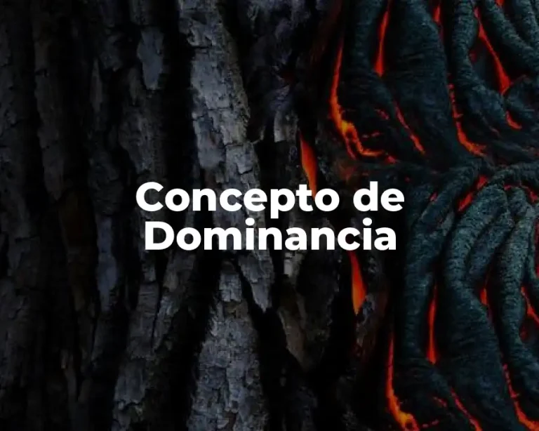 Concepto de Dominancia