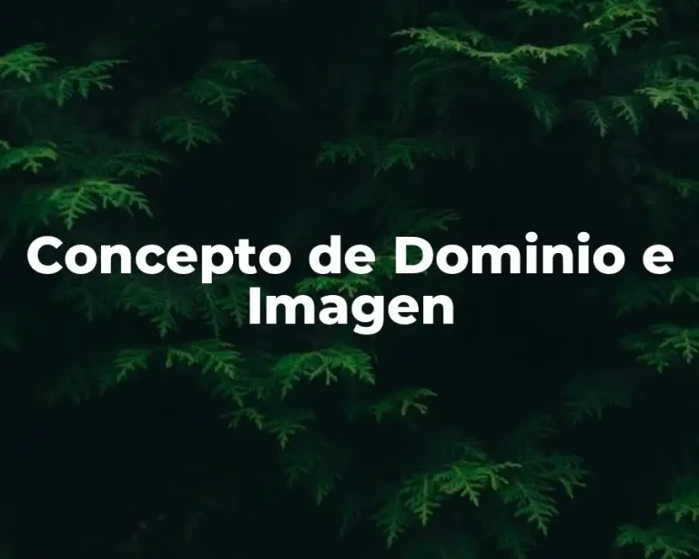 Concepto de Dominio e Imagen