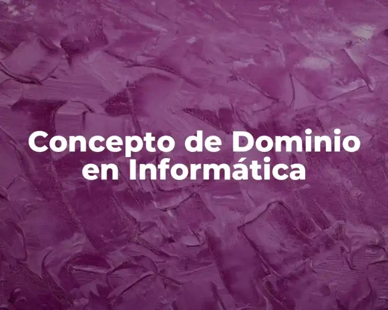 Concepto de Dominio en Informática