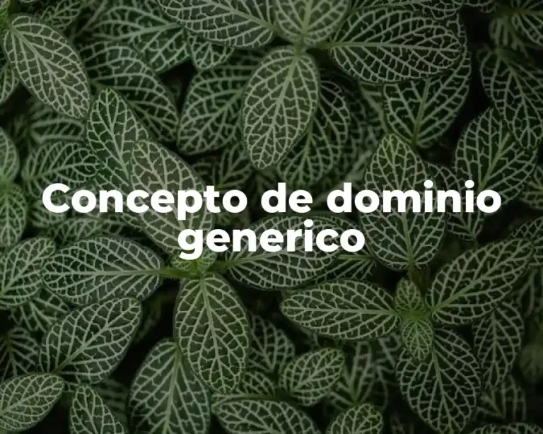 Concepto de dominio generico