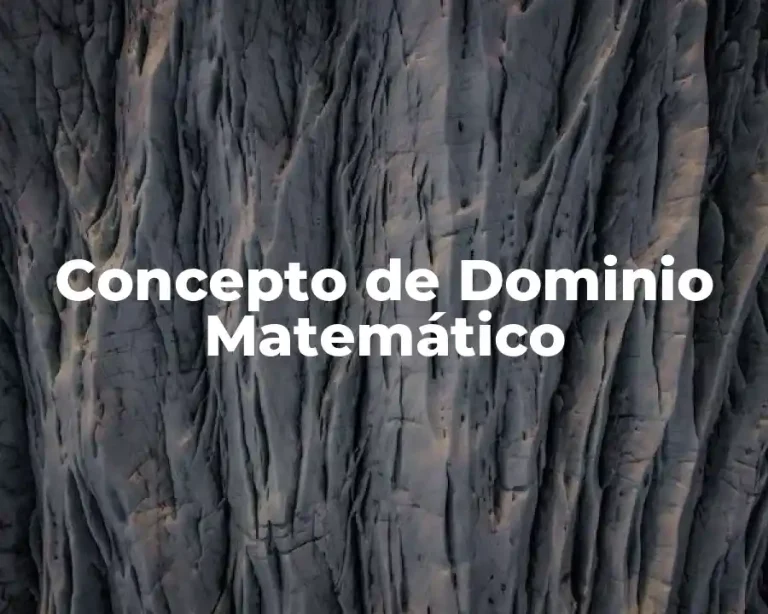 Concepto de Dominio Matemático
