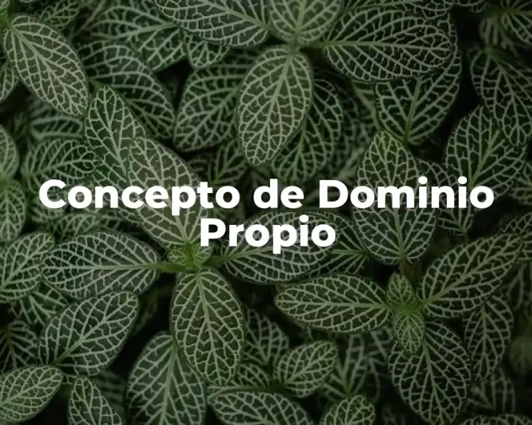 Concepto de Dominio Propio